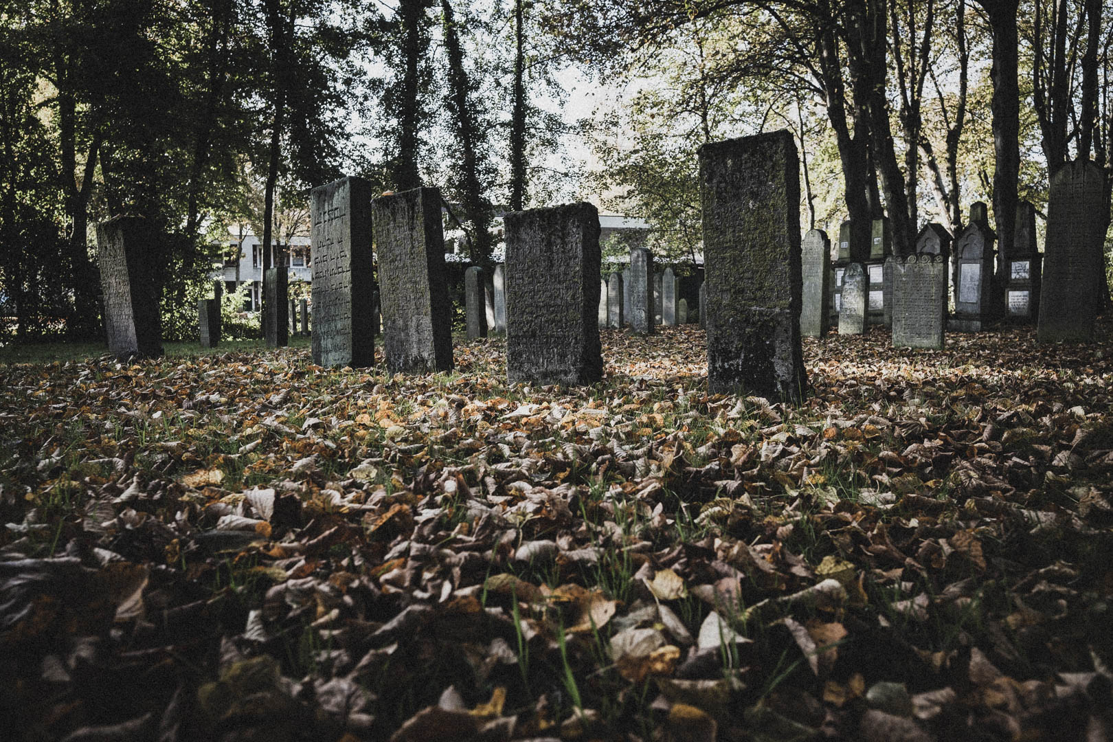 Norden (Ostfriesland), Jüdischer Friedhof